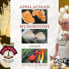 LUNCH WITH BOOKS: Appalachian Mushrooms with Walter Sturgeon  