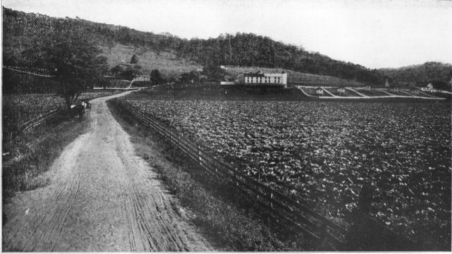 Farm Scene, W. Va. Penitentiary