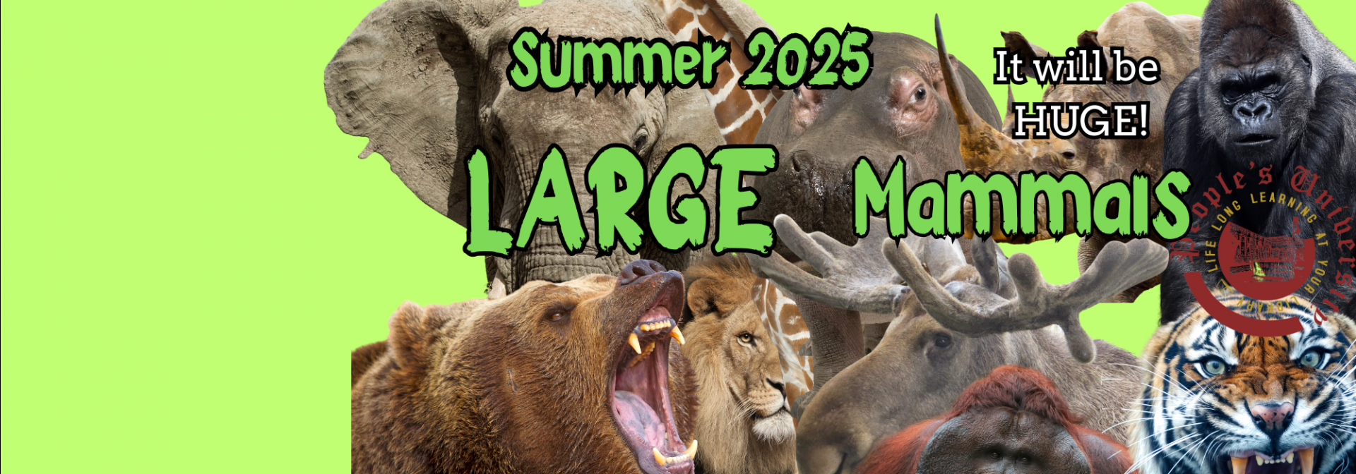 New People’s University Zoology!