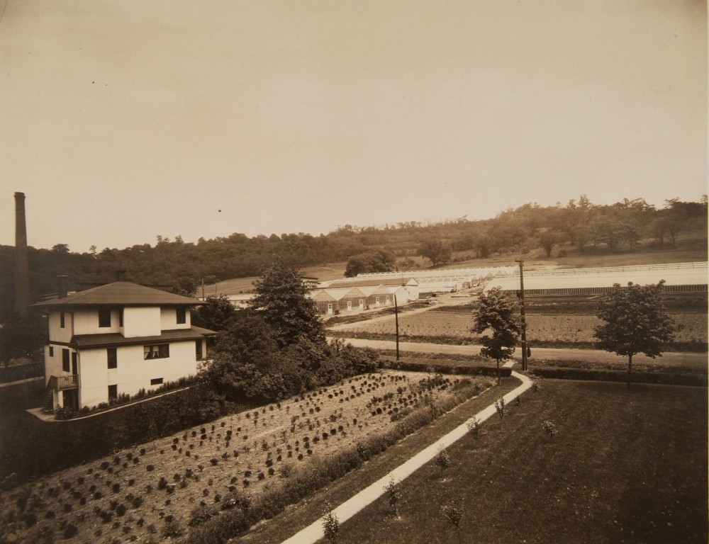 The greenhouses in 1920.