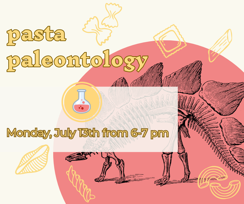 Fun Labs: Pasta Paleontology