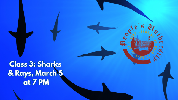People's U., Marine Biology, Class 3: Sharks and Rays