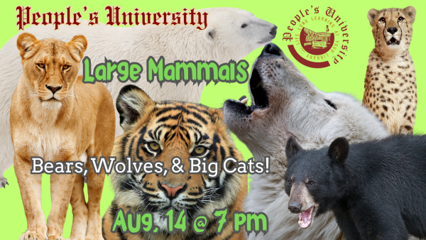 People's University Zoology, Class 3 - Carnivores: Bears, Wolves, & Big Cats