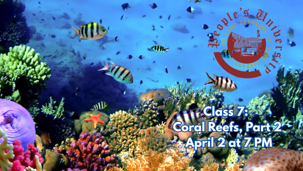 People's U., Marine Biology, Class 7: Coral Reefs, Part 2