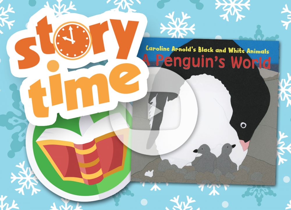 OCPL KIDS ONLINE: Story Time - A Penguin's World