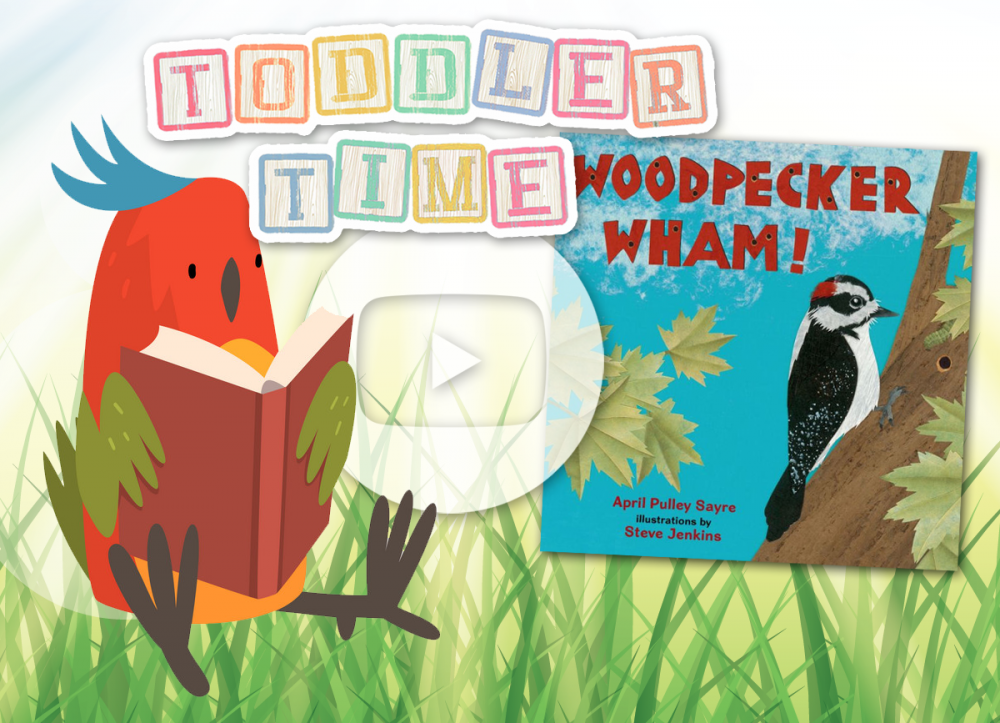 OCPL KIDS ONLINE: Toddler Time - Woodpecker Wham!
