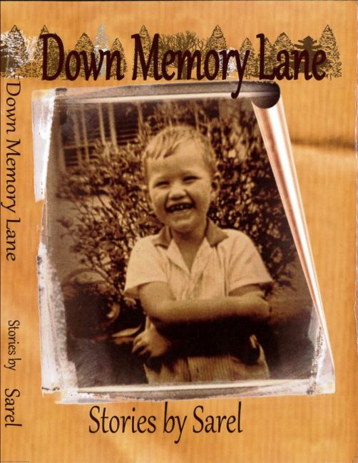 Lunch With Books: Stories by Sarel