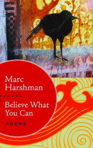 Book Cover - Believe What You Can