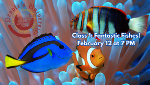 People's U., Marine Biology, Class 1: Fantastic Fishes