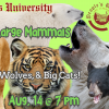People's University Zoology, Class 3 - Carnivores: Bears, Wolves, & Big Cats