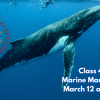 People's U., Marine Biology, Class 4: Marine Mammals