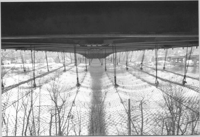 View of Safety Netting (63 k)